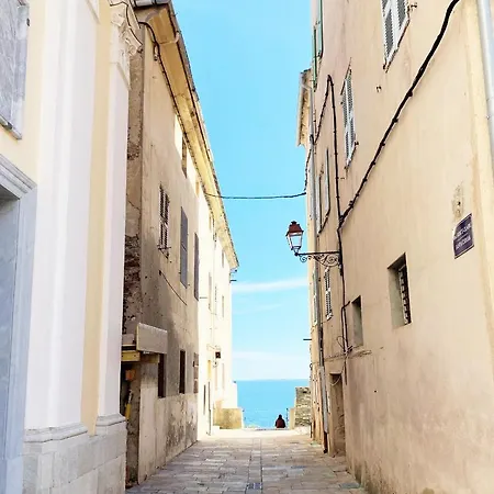 Appartamento Casa A Certosa Au Coeur De La Citadelle *